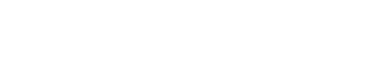 Firmenlogo mit weißem Schriftzug BOLAN auf schwarzem Hintergrund